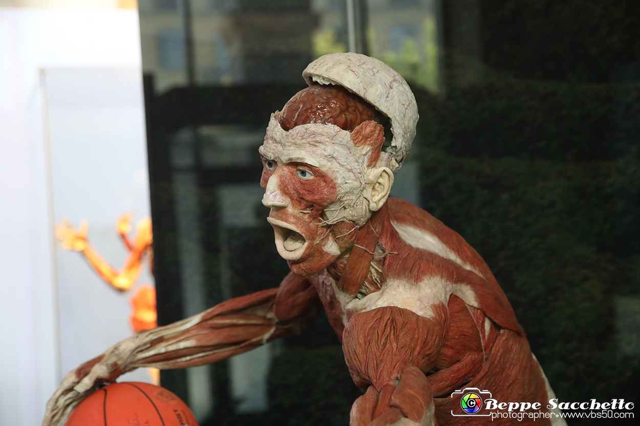 VBS_2925 - Mostra Body Worlds.jpg